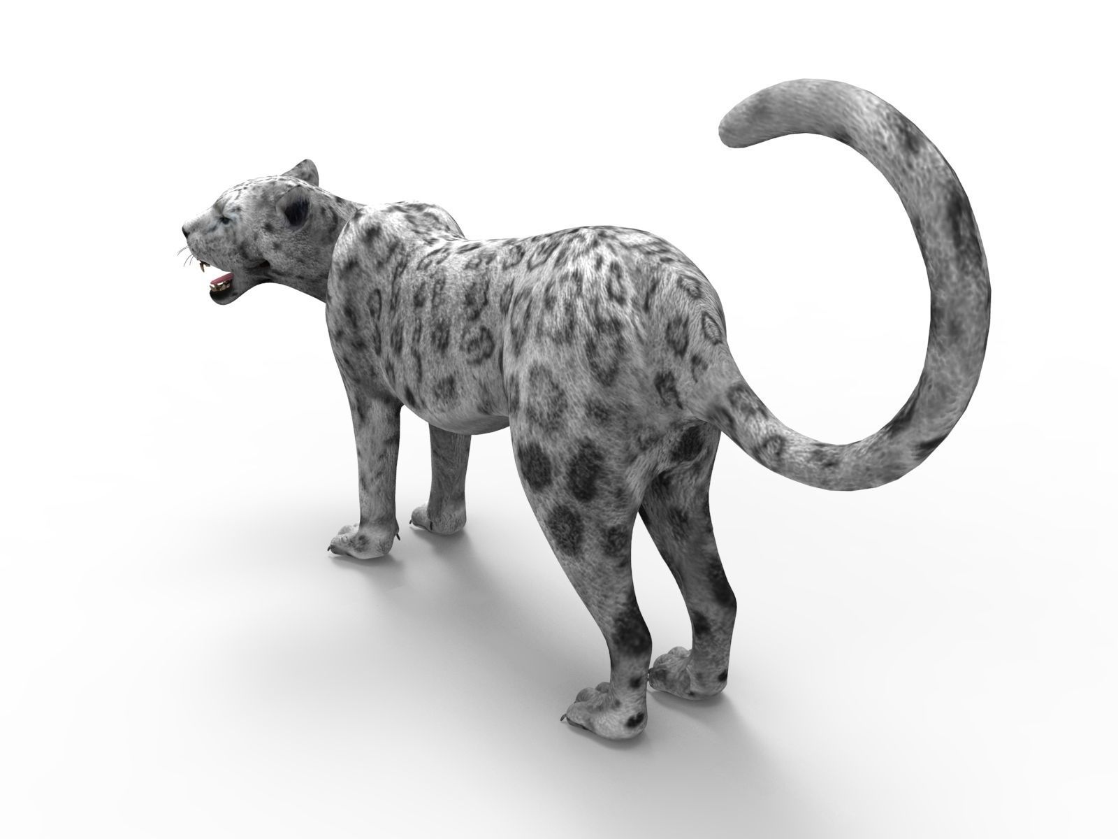 Rigged and Animated White Leopard 3D Low-poly 3D model_13