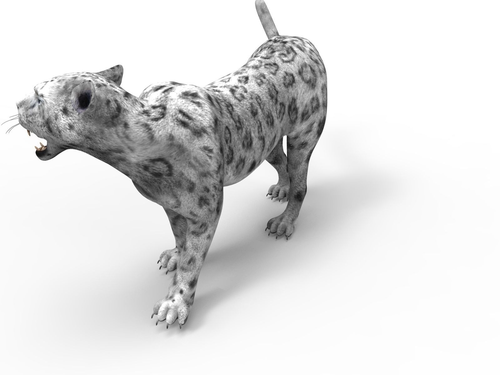 Rigged and Animated White Leopard 3D Low-poly 3D model_6