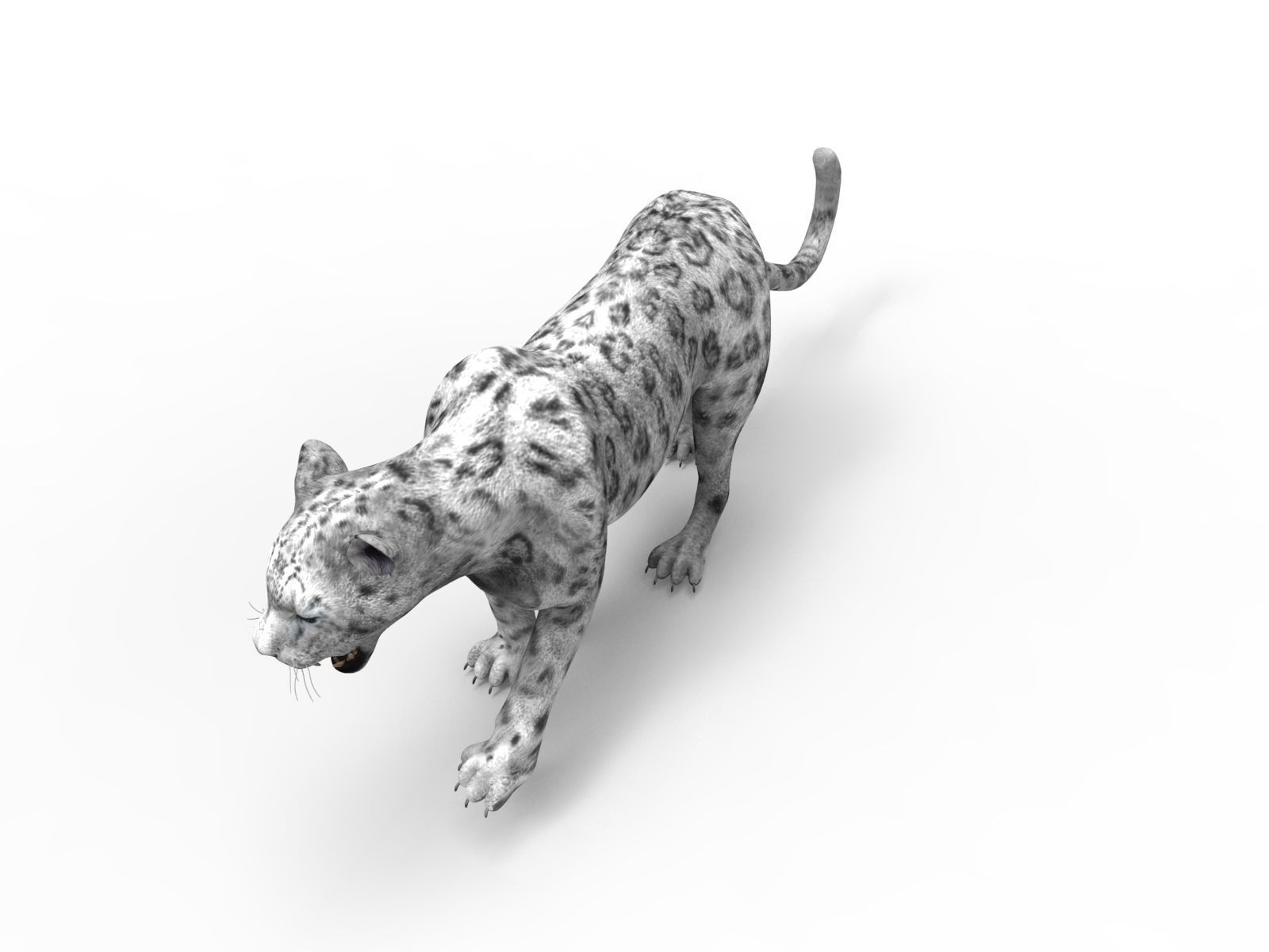 Rigged and Animated White Leopard 3D Low-poly 3D model_4