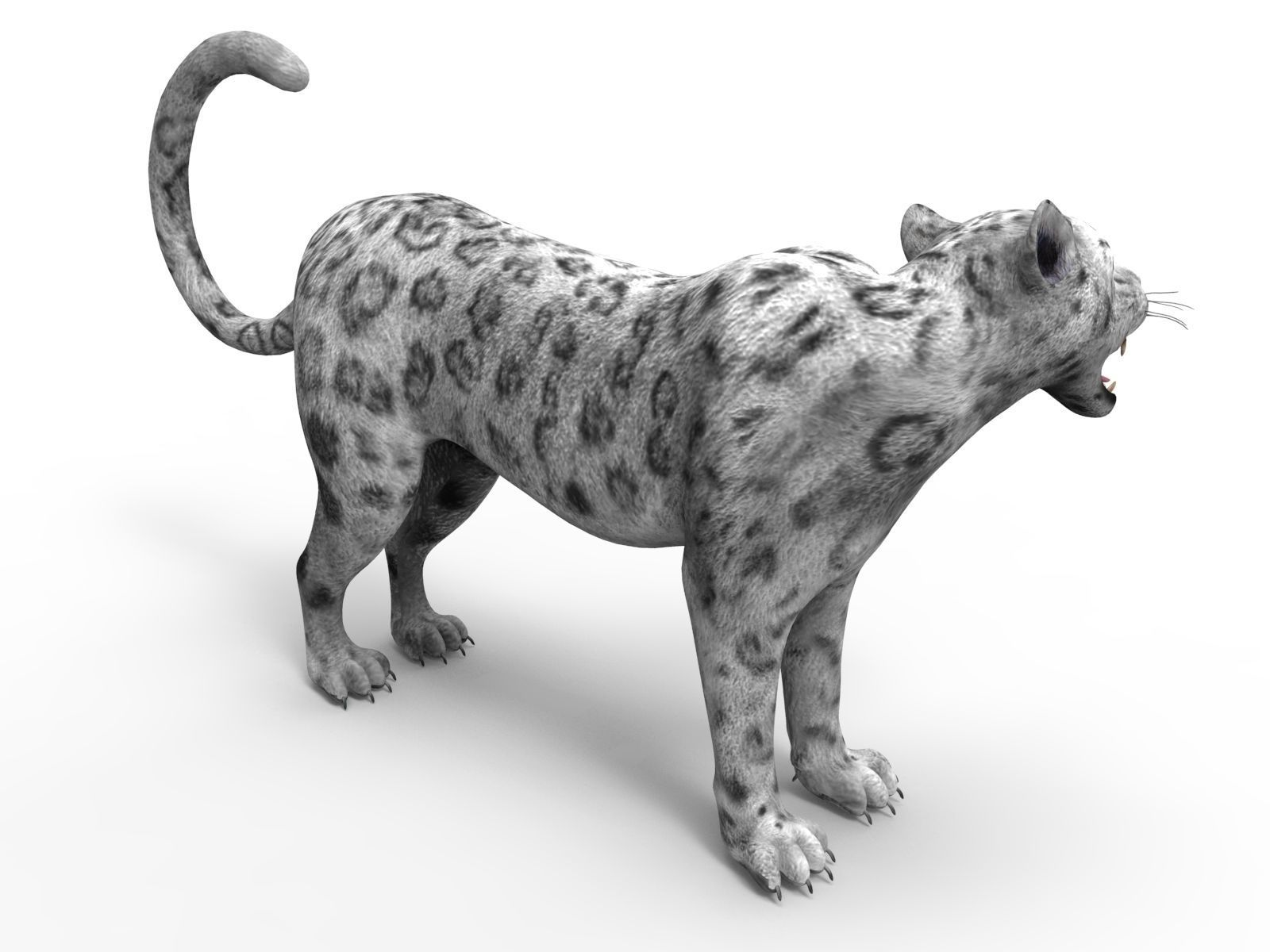 Rigged and Animated White Leopard 3D Low-poly 3D model_11