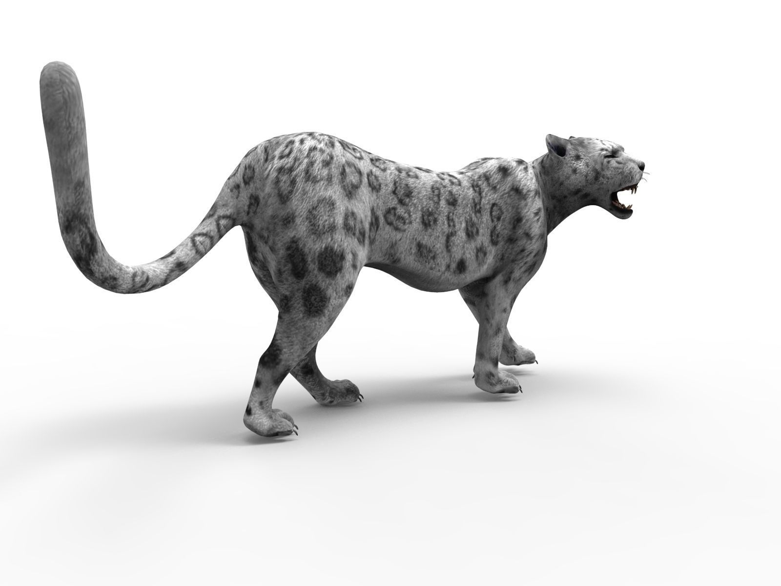 Rigged and Animated White Leopard 3D Low-poly 3D model_24