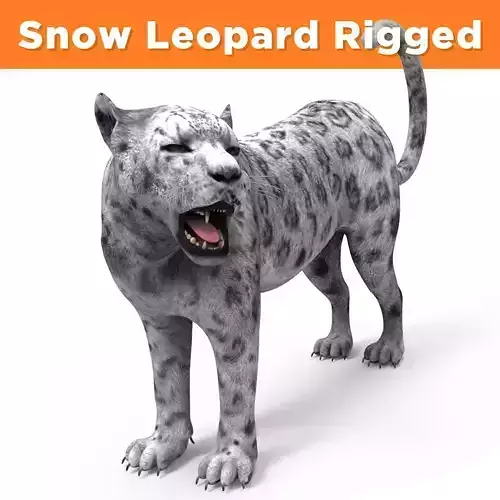 Rigged and Animated White Leopard 3D Low-poly 3D model