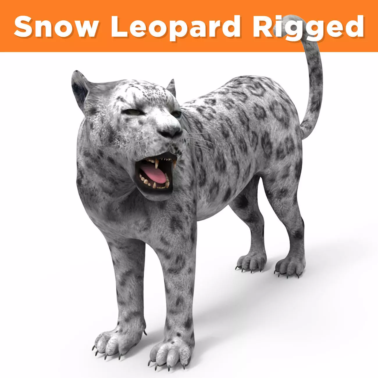 Rigged and Animated White Leopard 3D Low-poly 3D model_0
