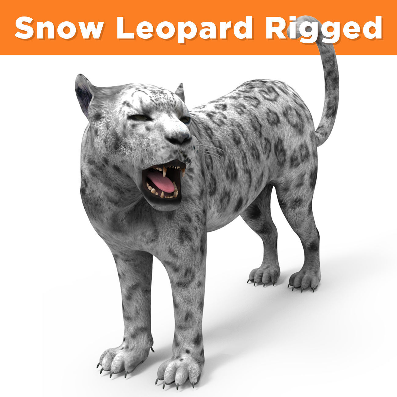 Rigged and Animated White Leopard 3D