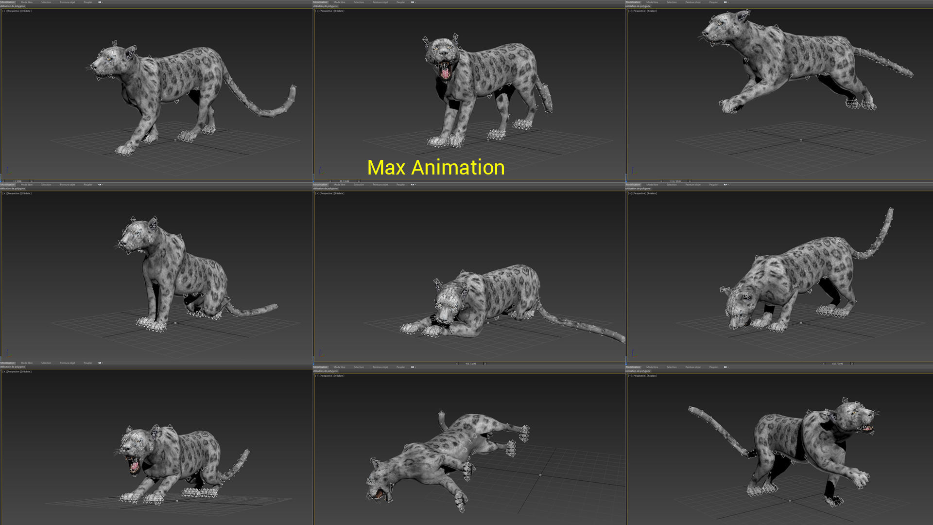 Rigged and Animated White Leopard 3D Low-poly 3D model_33