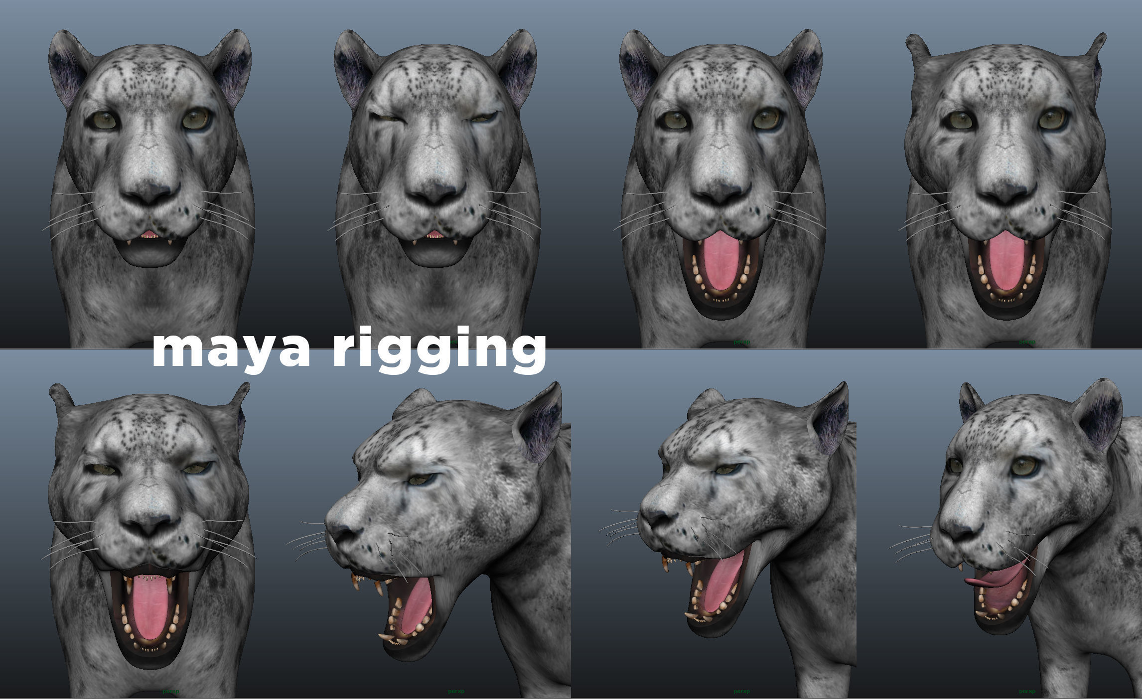 Rigged and Animated White Leopard 3D Low-poly 3D model_29