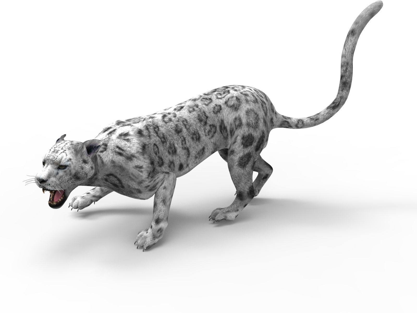 Rigged and Animated White Leopard 3D Low-poly 3D model_16