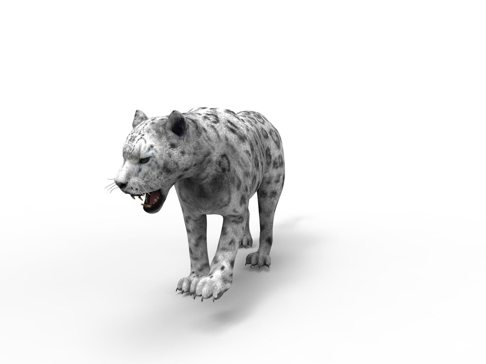 Rigged and Animated White Leopard 3D Low-poly 3D model_3