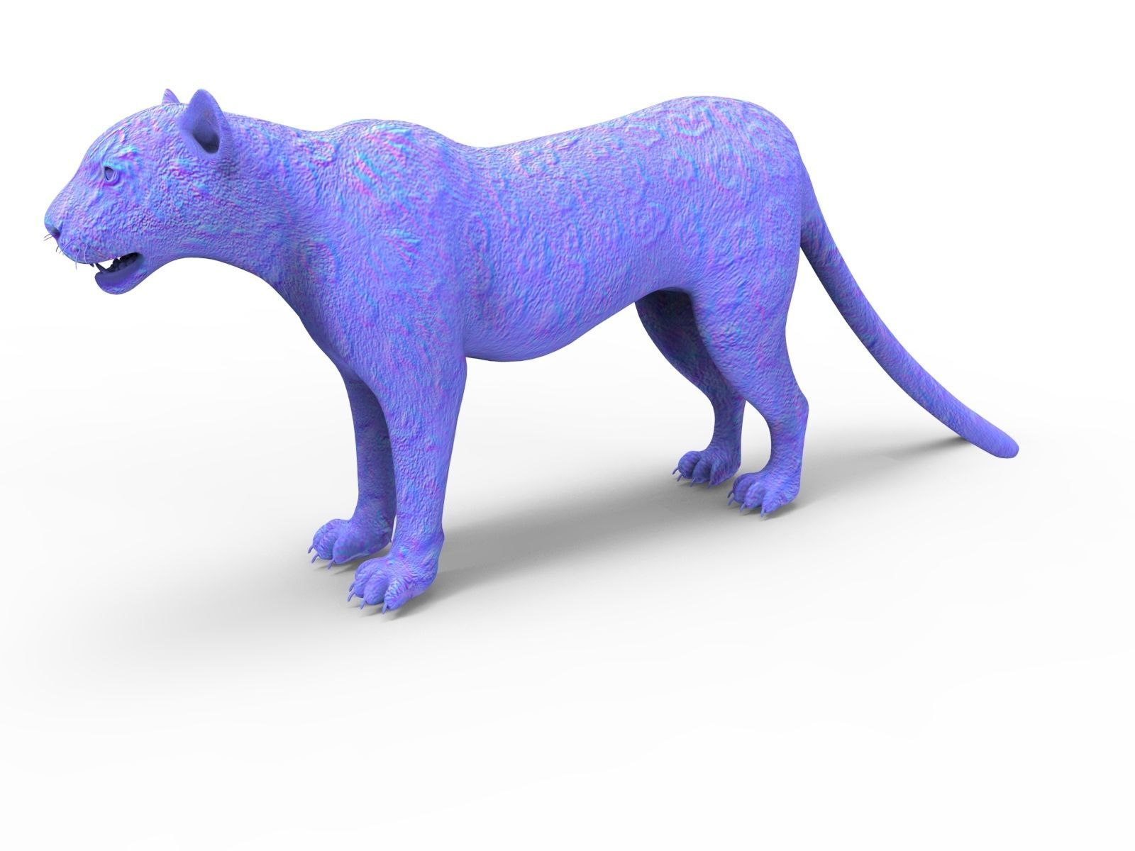 Rigged and Animated White Leopard 3D Low-poly 3D model_36