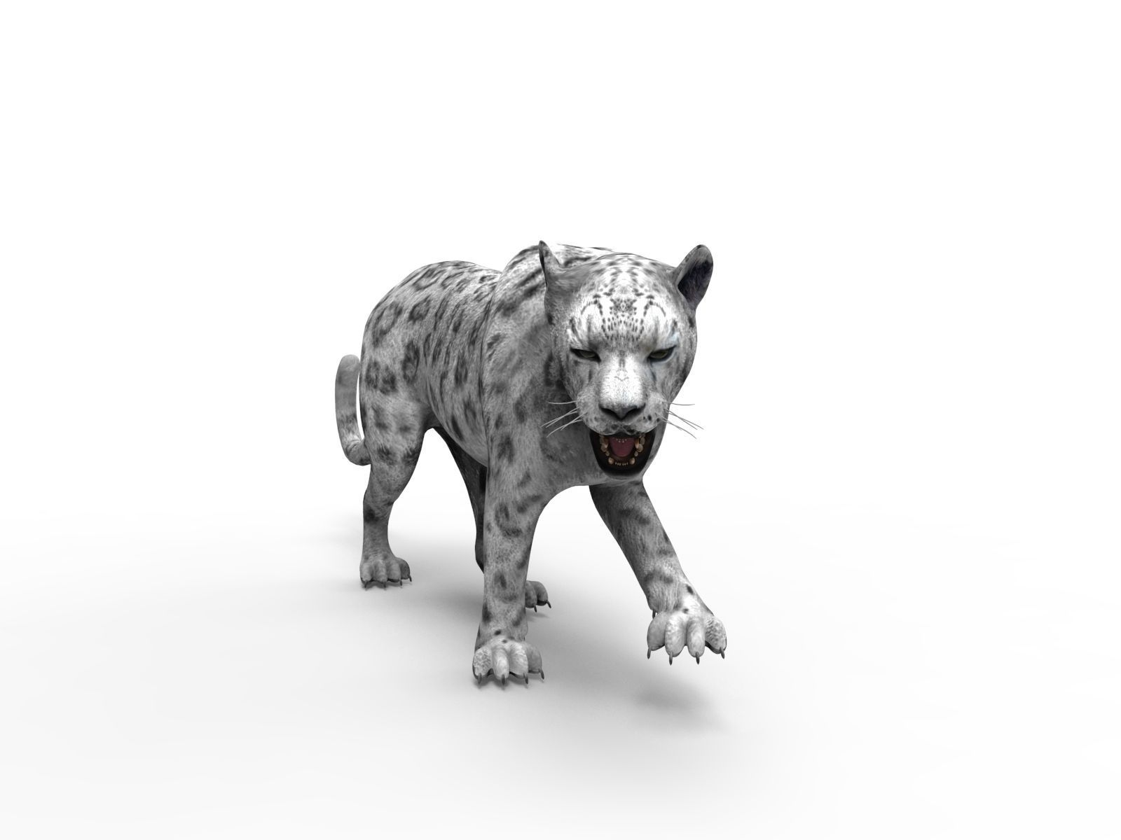 Rigged and Animated White Leopard 3D Low-poly 3D model_2
