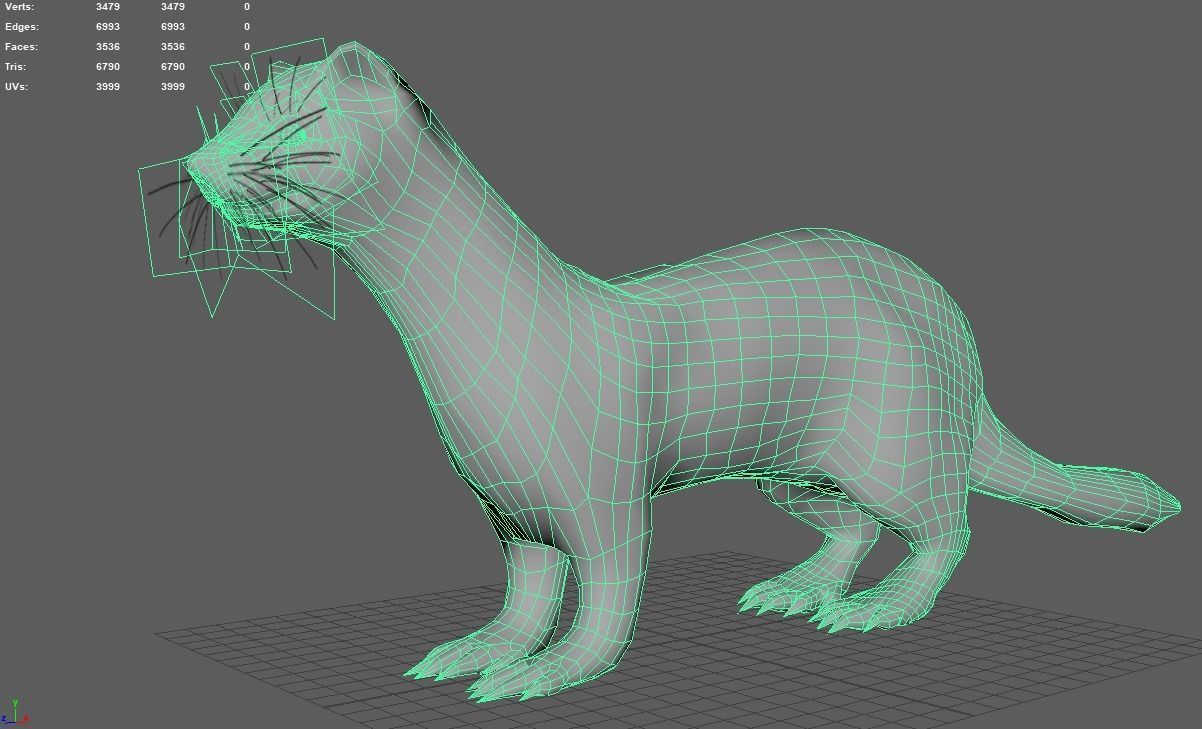 Ferret - beige Low-poly 3D model_2