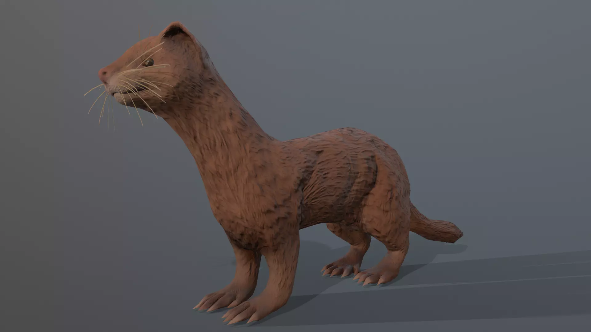 Ferret - beige Low-poly 3D model_0