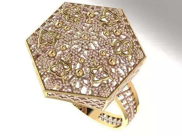 Ring With Full Worked 13