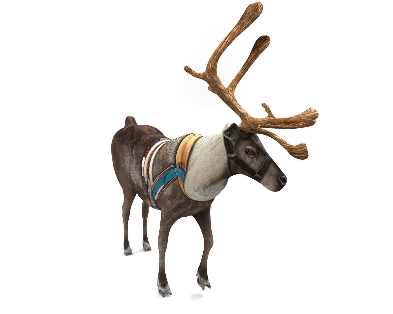 Reindeer rigged animated 3D model Low-poly 3D model_20