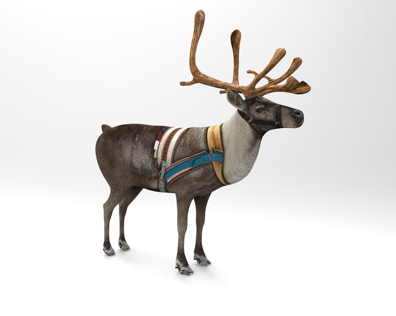 Reindeer rigged animated 3D model Low-poly 3D model_12