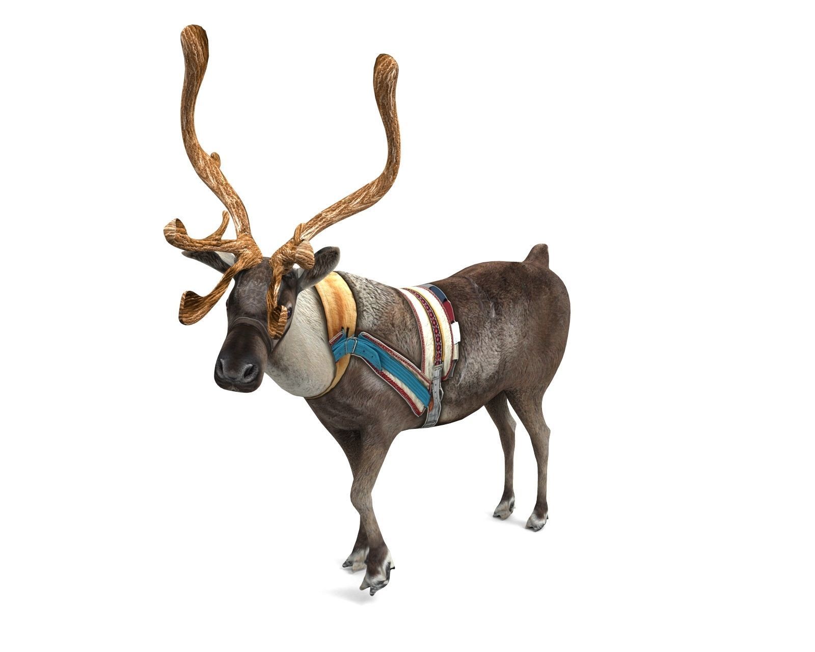 Reindeer rigged animated 3D model Low-poly 3D model_17