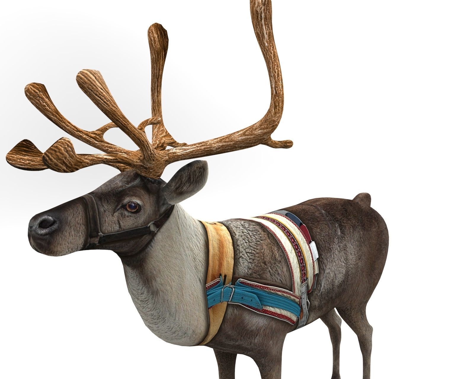 Reindeer rigged animated 3D model Low-poly 3D model_16