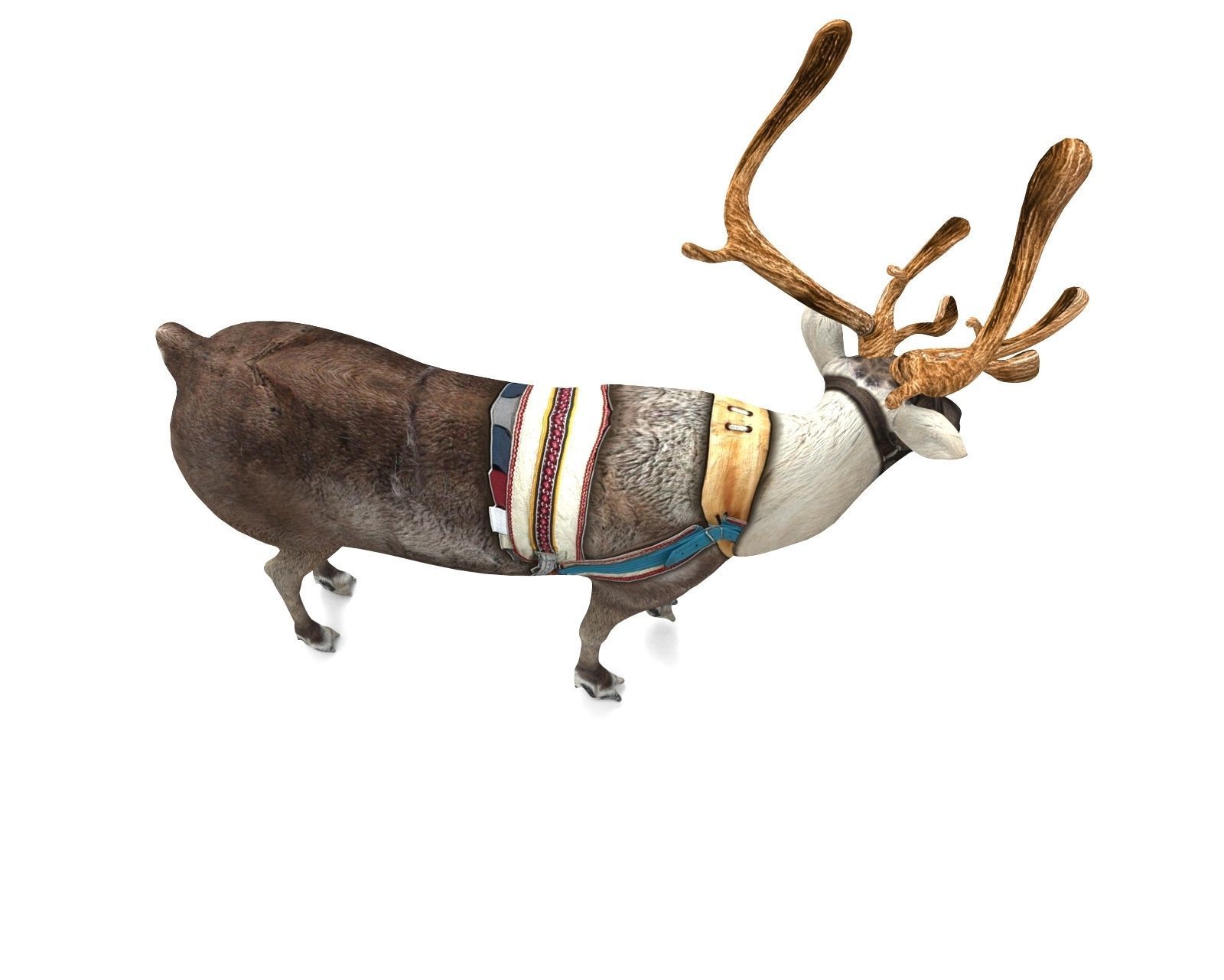 Reindeer rigged animated 3D model Low-poly 3D model_21