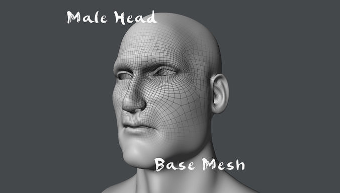 Male Head Base Mesh Low-poly 3D model