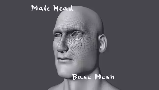 Male Head Base Mesh