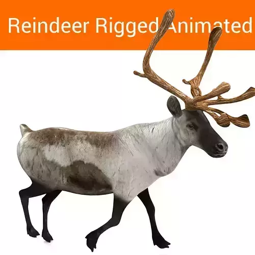 Snow Reindeer Animated Rigged Model 3D Model Low-poly 3D model