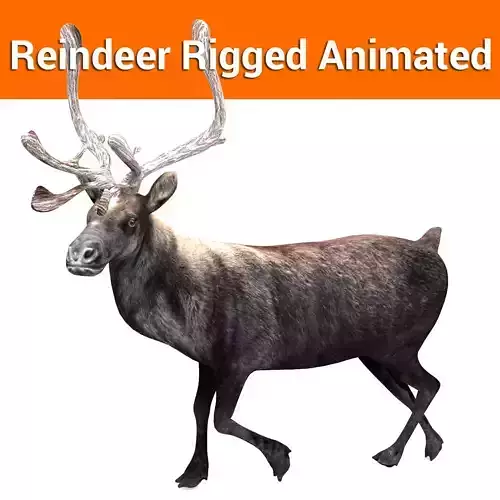 Black Reindeer rigged animated 3D model Low-poly 3D model