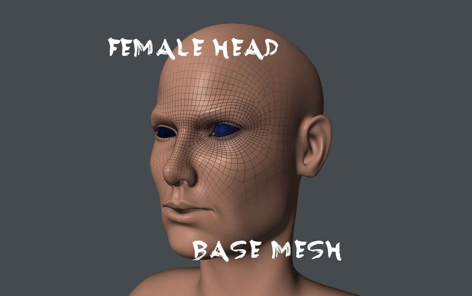 Male and Female Base Mesh  Low-poly 3D model_2