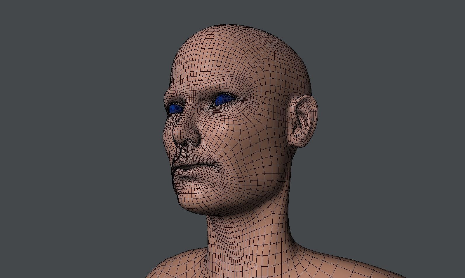 Male and Female Base Mesh  Low-poly 3D model_6