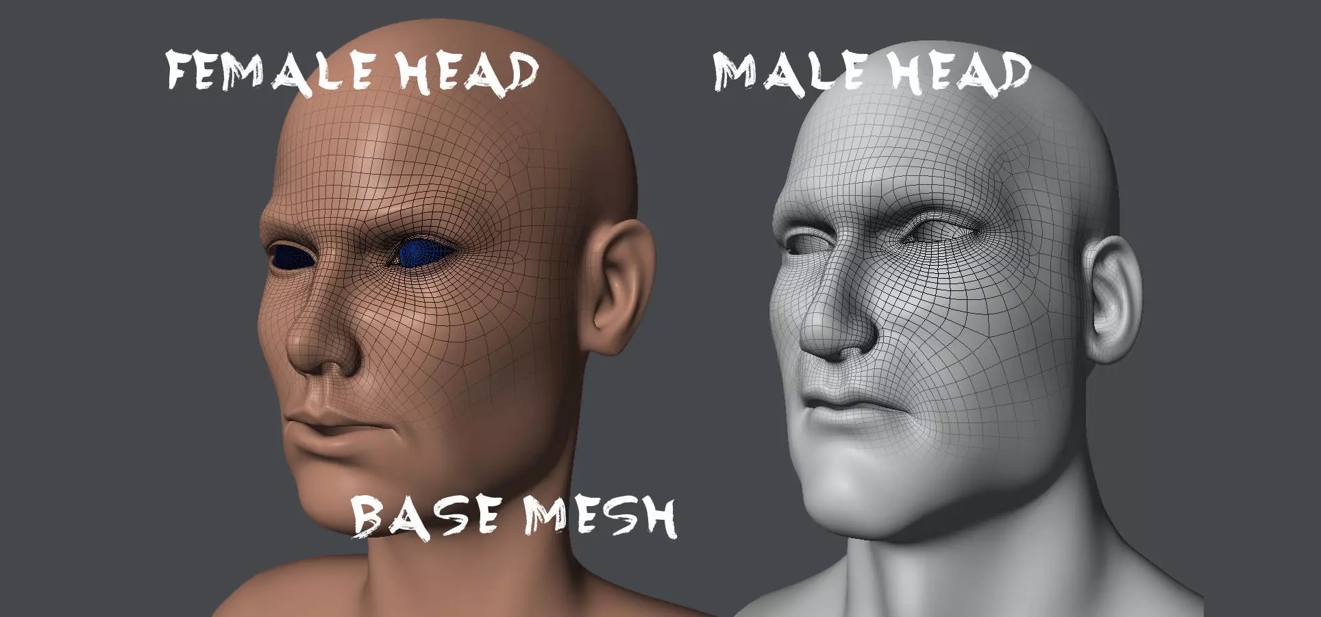 Male and Female Base Mesh  Low-poly 3D model_0