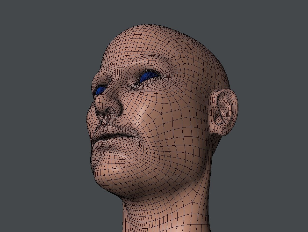 Male and Female Base Mesh  Low-poly 3D model_8