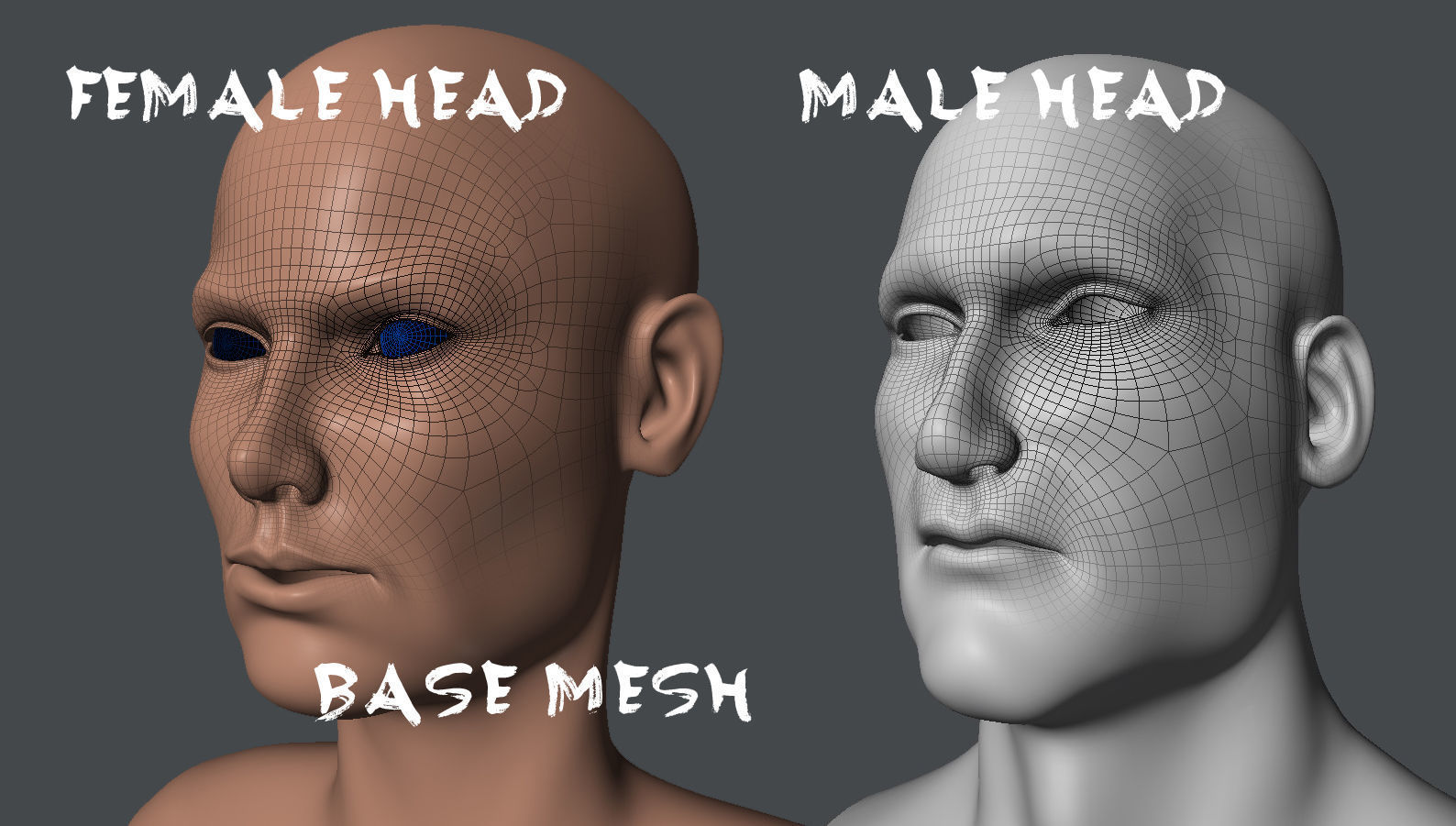 Male and Female Base Mesh  Low-poly 3D model_1