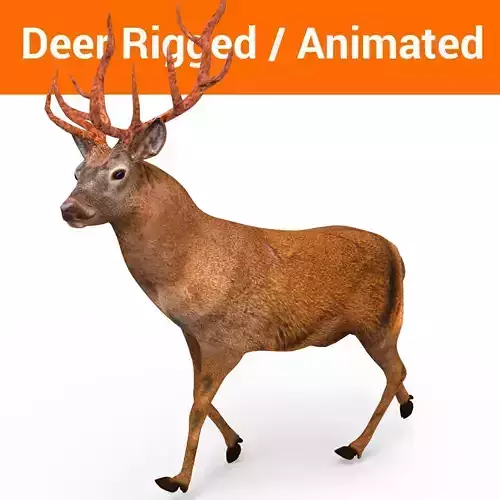 Deer rigged animated model model Low-poly 3D model