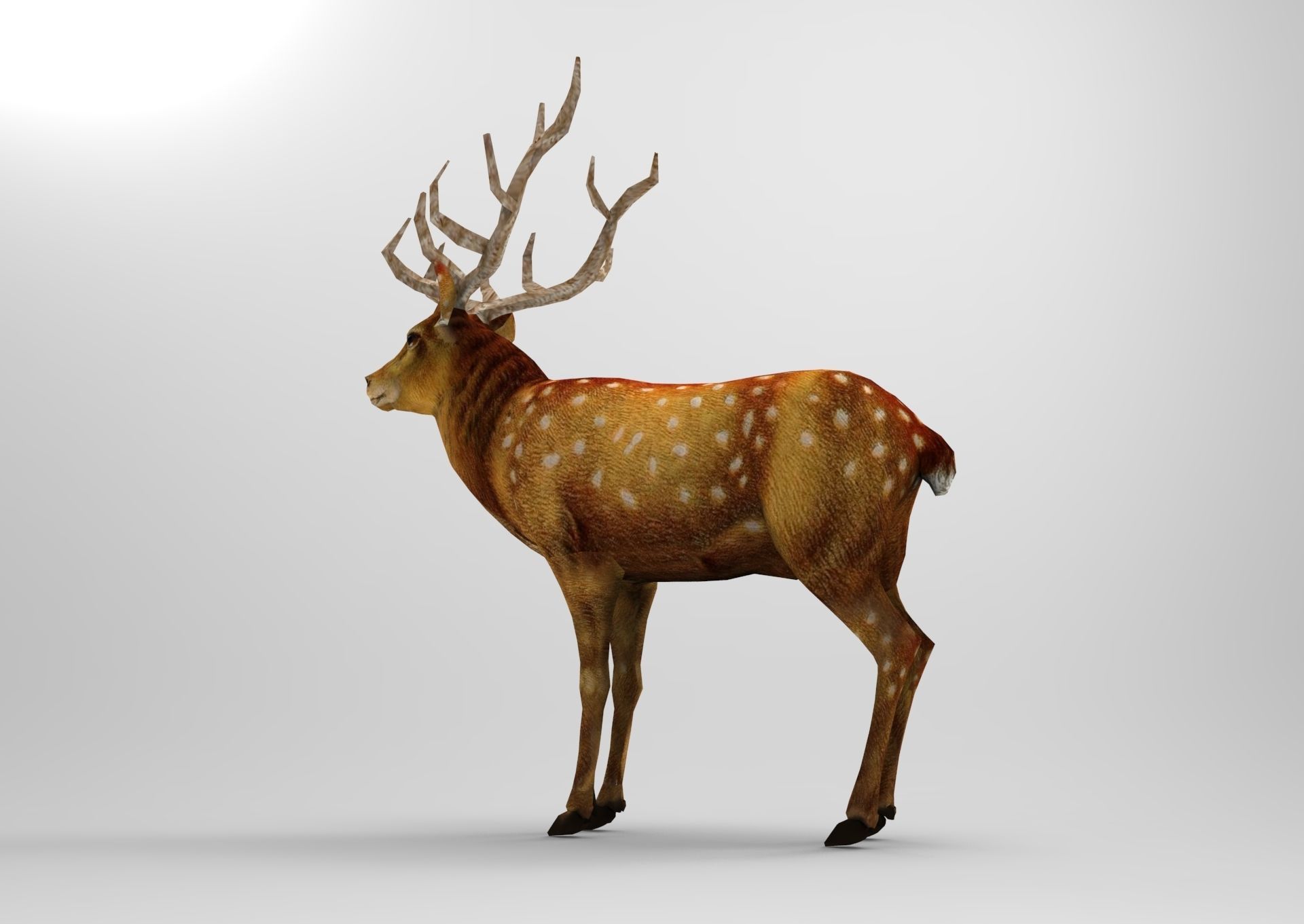 Deer rigged animated Model 3D Low-poly 3D model_10
