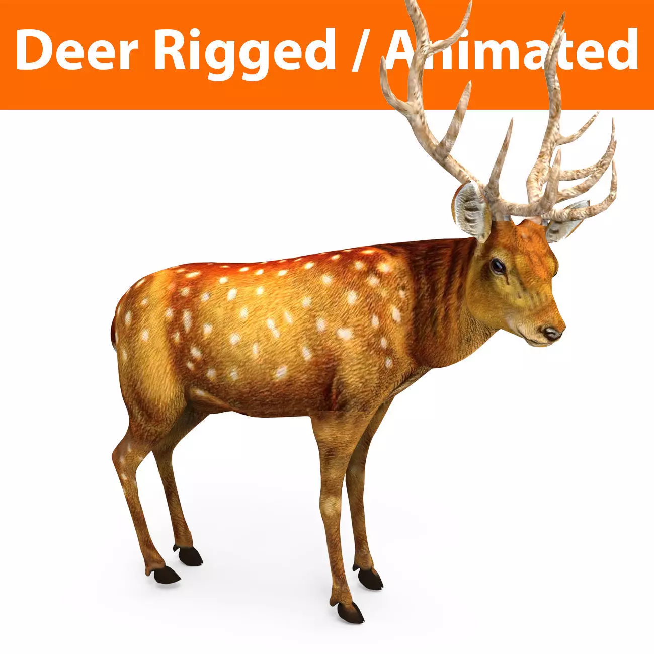 Deer rigged animated Model 3D Low-poly 3D model_0