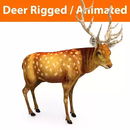 Deer rigged animated Model 3D