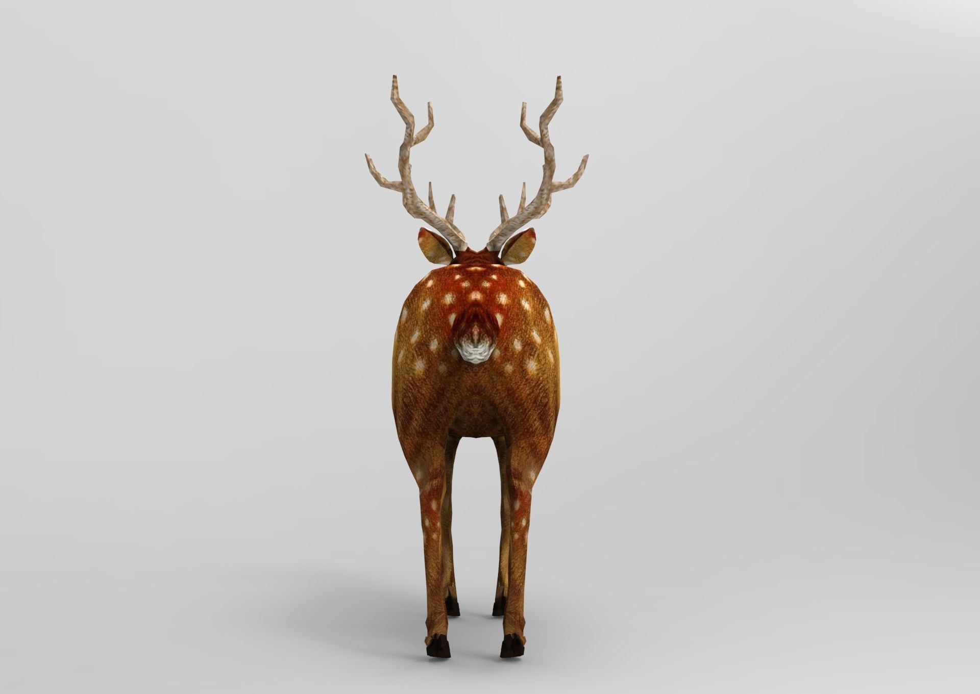 Deer rigged animated Model 3D Low-poly 3D model_9