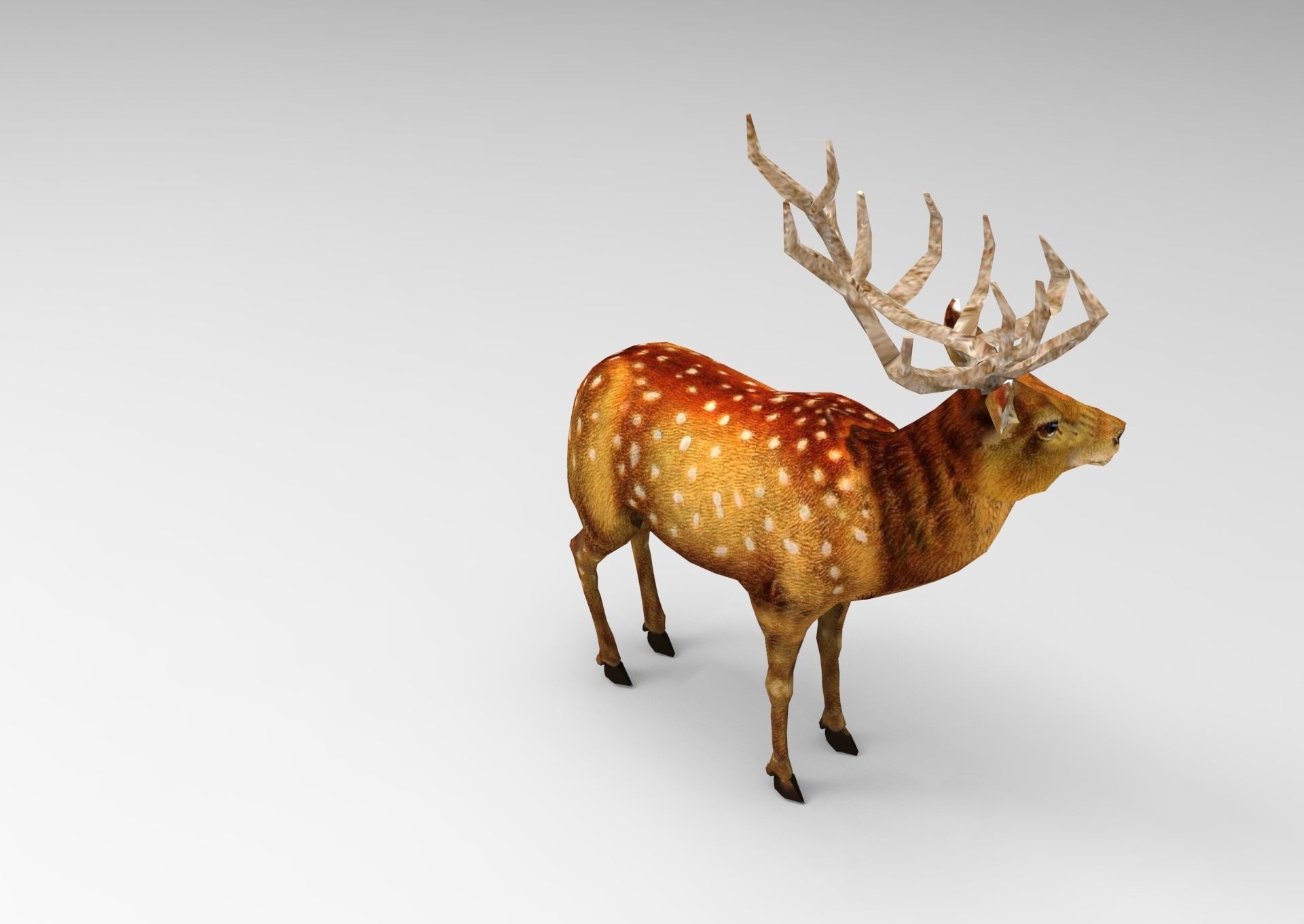 Deer rigged animated Model 3D Low-poly 3D model_15