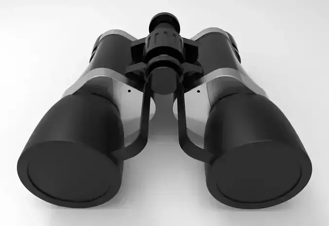 Binocular with lens plugs