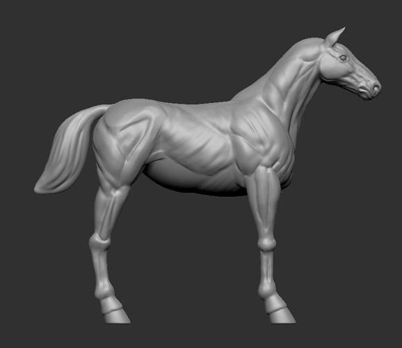 Horse Base Blockout Poligon 3D model
