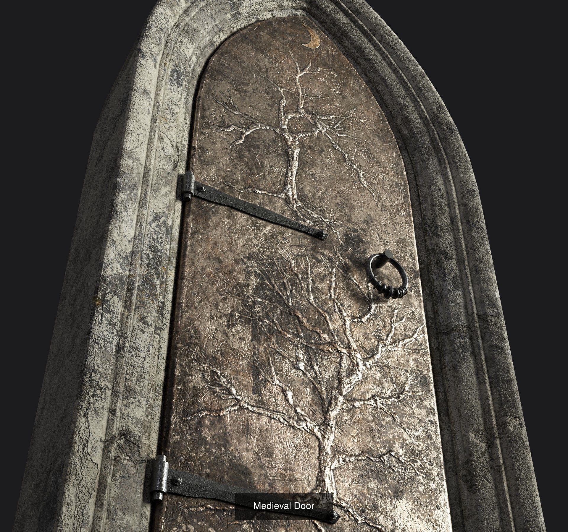 Medieval Doors 3D Model Collection_6