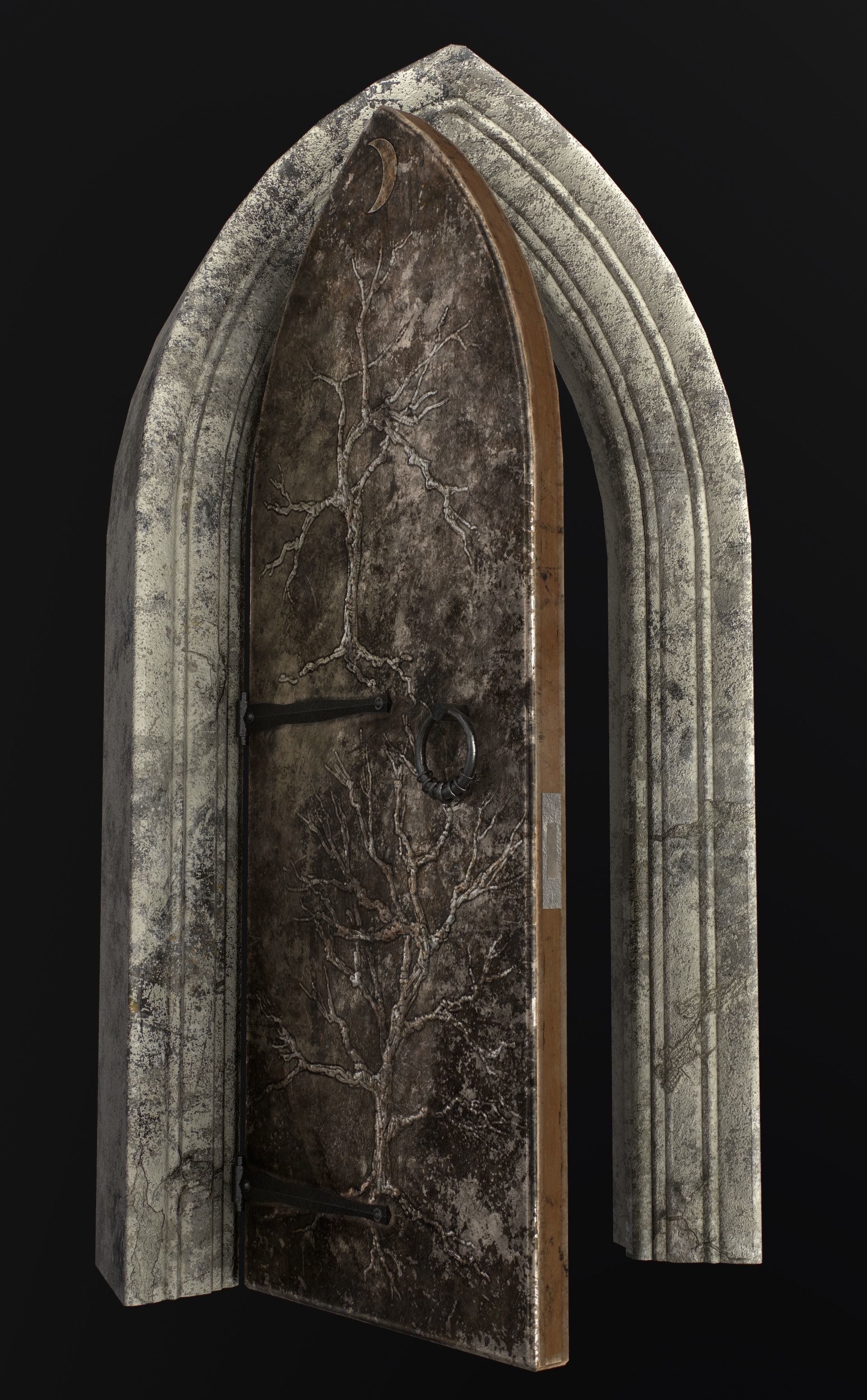 Medieval Doors 3D Model Collection_21
