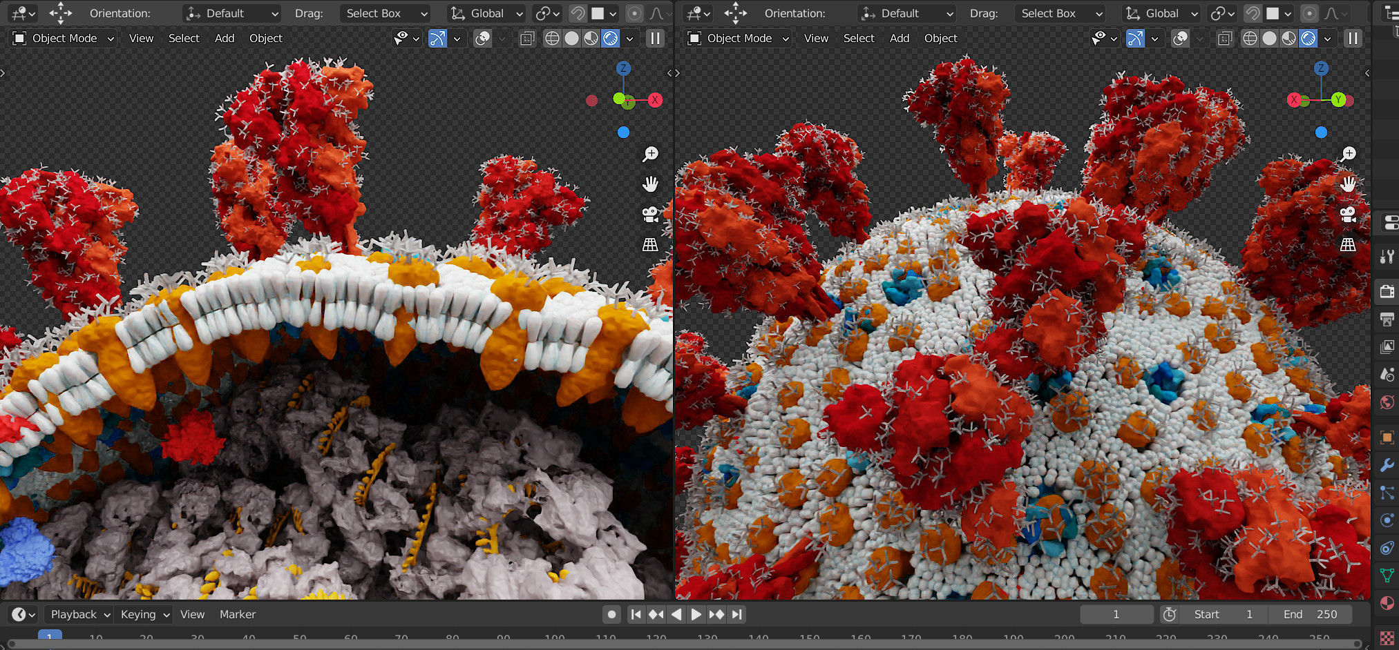 Corona Virus - scientifically accurate 3d model 3D model_8