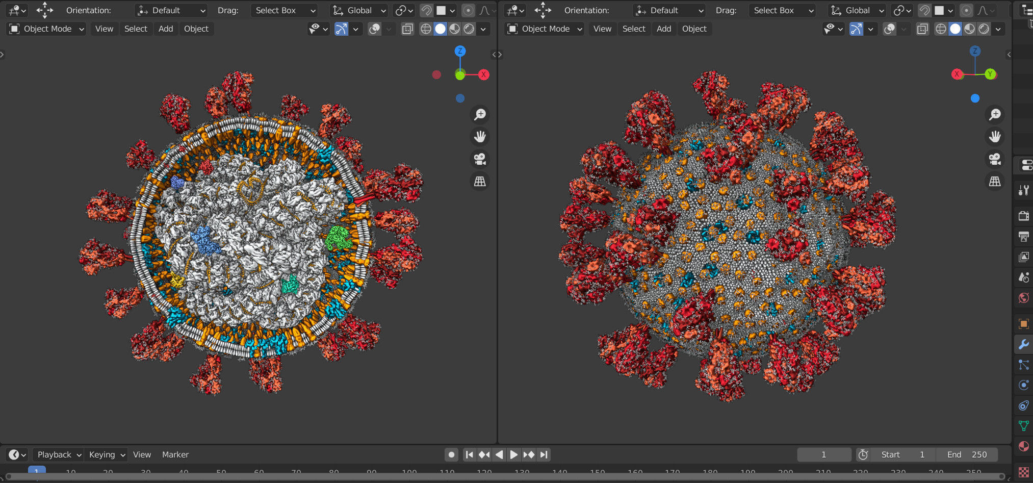 Corona Virus - scientifically accurate 3d model 3D model_6