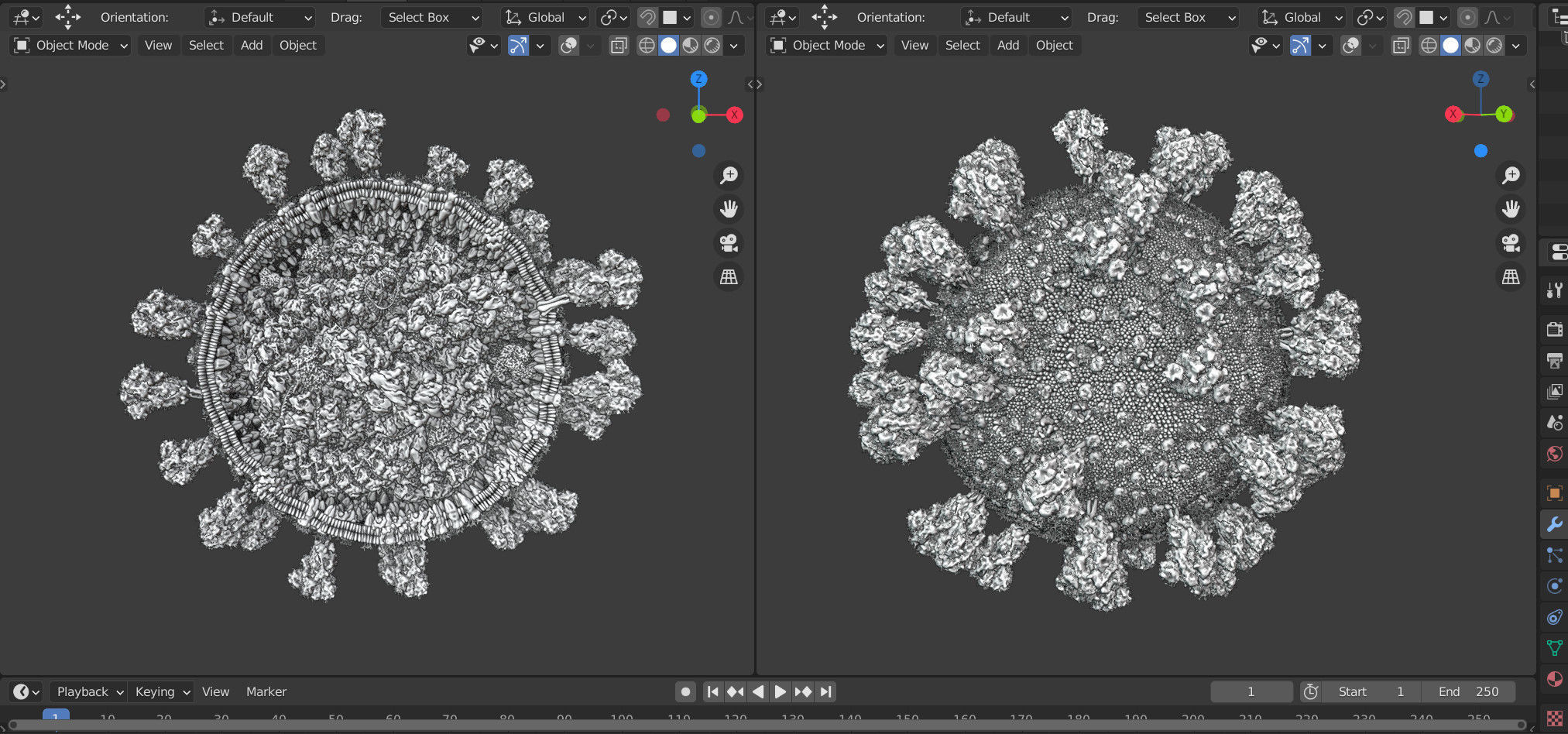 Corona Virus - scientifically accurate 3d model 3D model_5