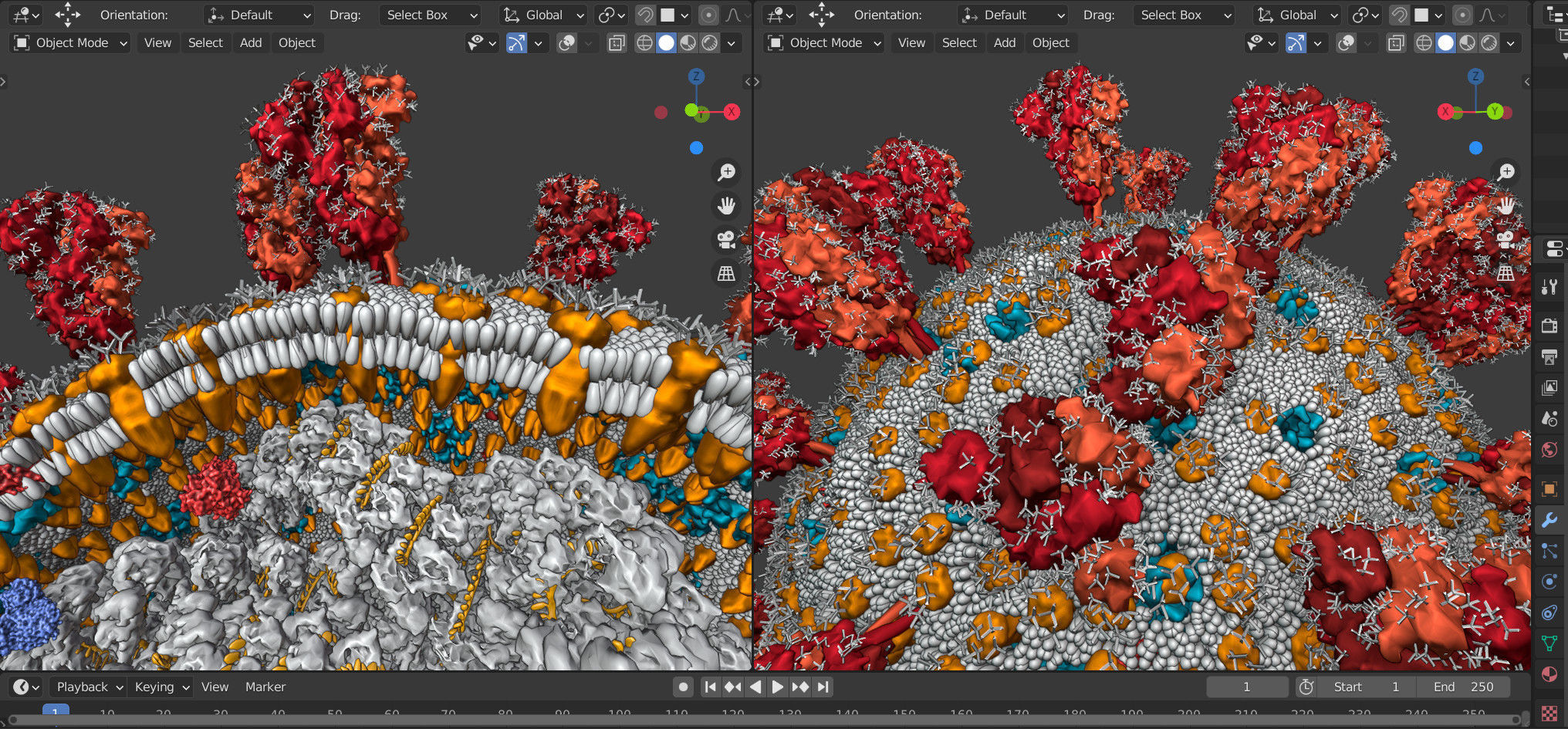 Corona Virus - scientifically accurate 3d model 3D model_7