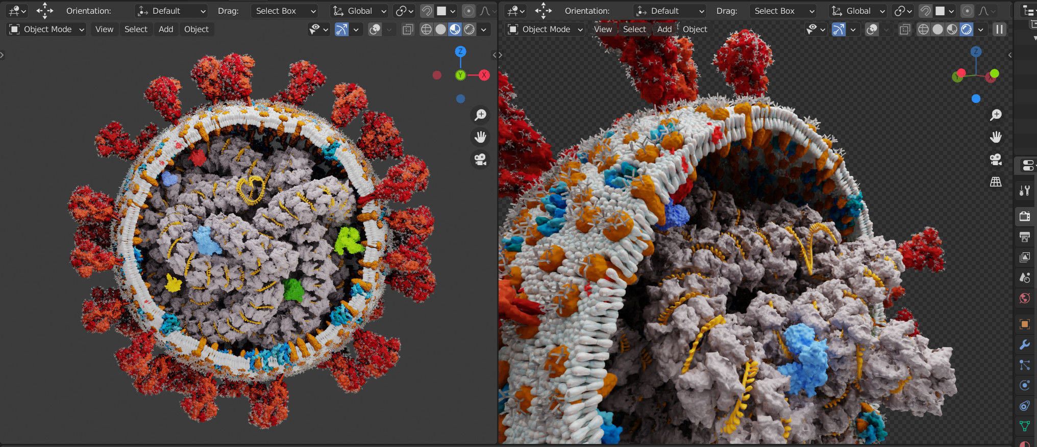 Corona Virus - scientifically accurate 3d model 3D model_4
