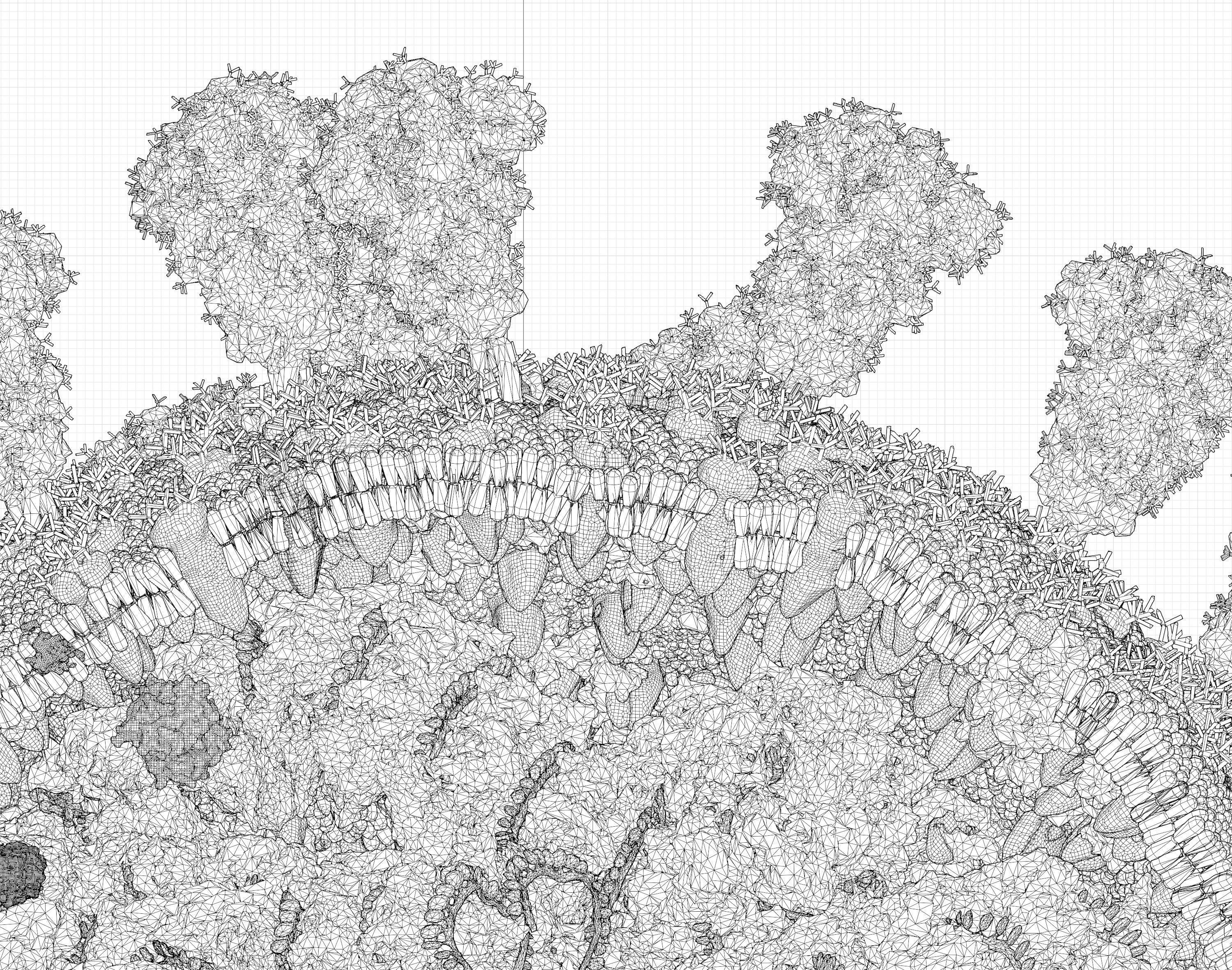 Corona Virus - scientifically accurate 3d model 3D model_10