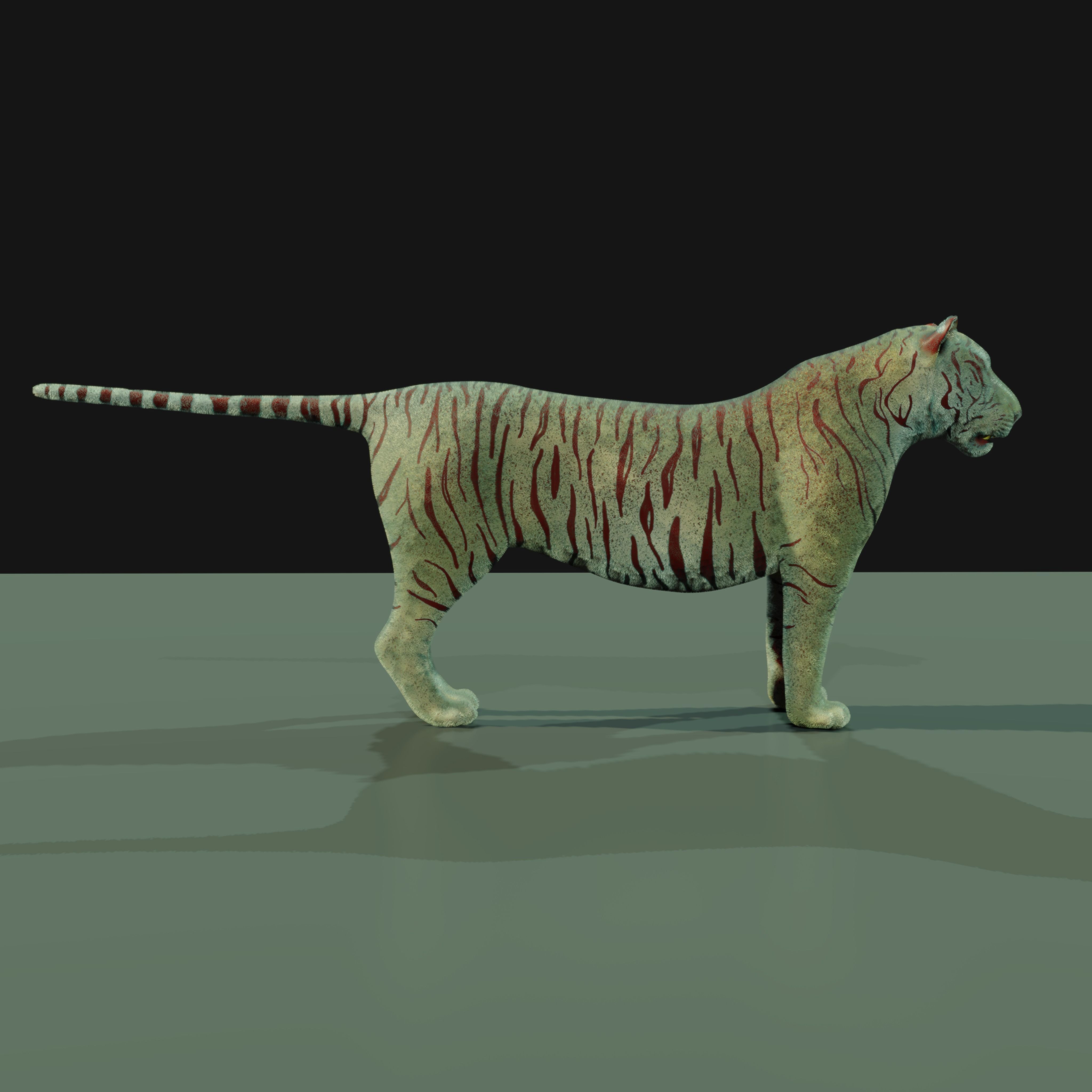 the Most Advanced Rigged Tiger for blender its Here Low-poly 3D model_3