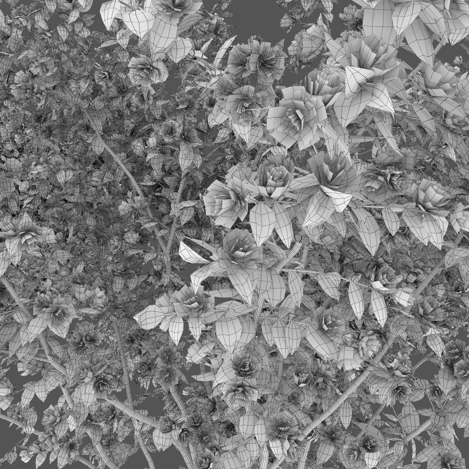 Philadelphus Bouquet Blanc 01 3D model_2