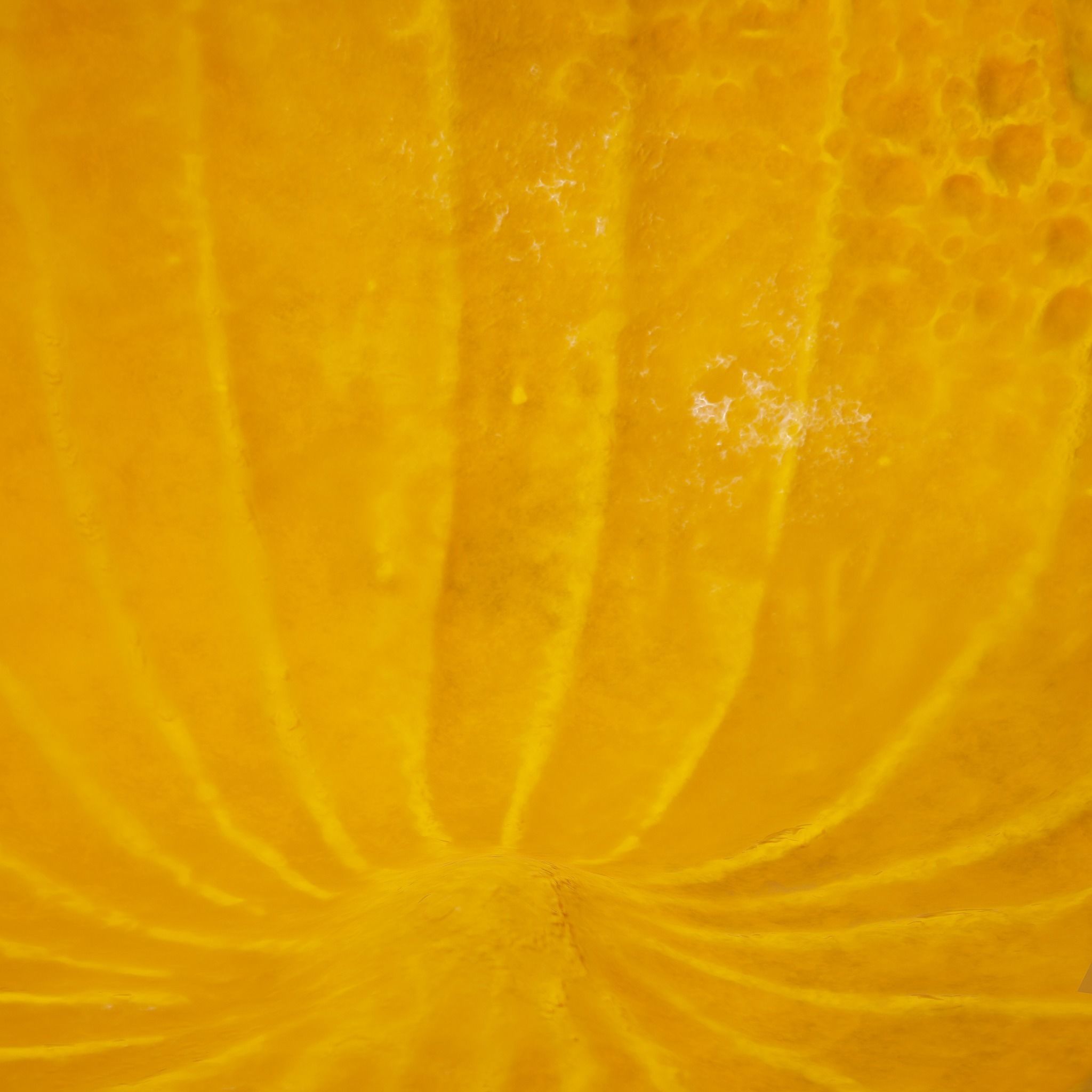 Jack-o-lantern Sinister Smile 3D model_34